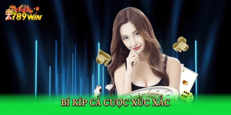 bi-kip-ca-cuoc-xuc-xac-4