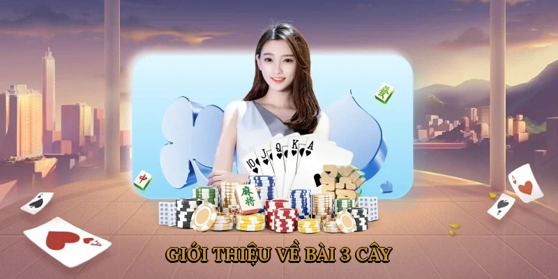 gioi-thieu-ve-bai-3-cay-1
