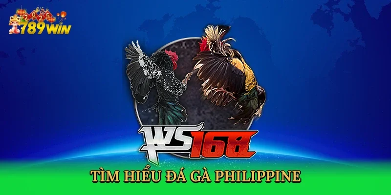 tim-hieu-da-ga-philippine-2
