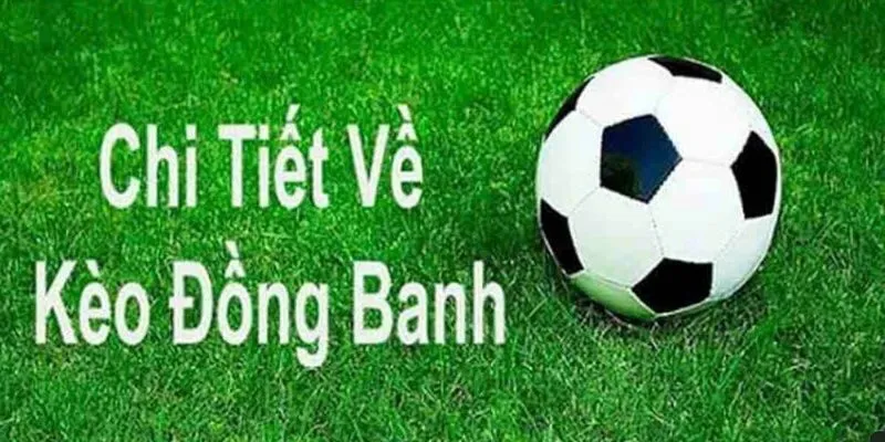 Tổng quan về kèo cược WIN79