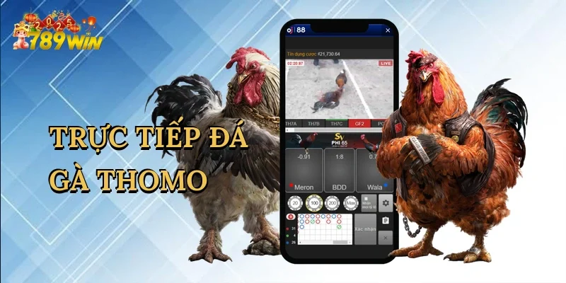 truc-tiep-da-ga-thomo-1